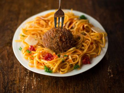 Die Niederlande tätigen die bisher größte öffentliche Investition in die zellulare Landwirtschaft