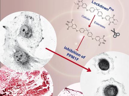 Lockdown for tumour cells