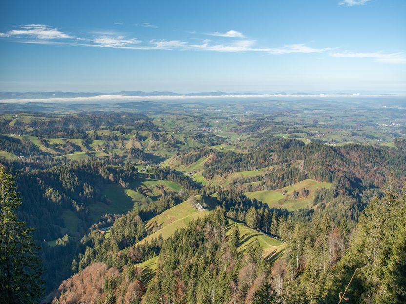 In der Natur sein: Gut für Geist, Körper und Ernährung - Forscher der Drexel University untersuchten, wie sich das Gefühl der Verbundenheit mit der natürlichen Welt auf die Vielfalt der Ernährung und den Verzehr von Obst und Gemüse auswirkt.