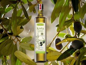 Kreta Olivenöl ist Testsieger bei Öko-​Test