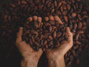 Neue Kakao-Verarbeitungsmethode erzeugt fruchtigere, "blumigere" dunkle Schokolade