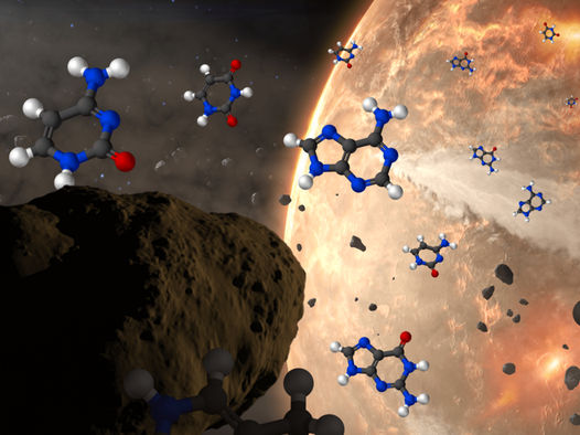 Könnte der Bauplan für das Leben in Asteroiden entstanden sein? - "Ich war erstaunt, dass sie Cytosin gefunden haben, das sehr empfindlich ist"