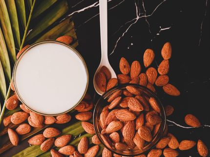 Mehrwertsteuer: ProVeg fordert, Pflanzenmilch als Grundnahrungsmittel zu besteuern