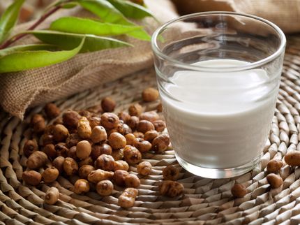 Consumption of natural horchata produces beneficial changes in gut microbiota