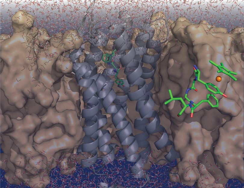 © Florian Wieberneit (AG Biomolekulare NMR)