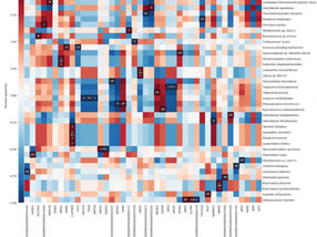 New tool integrates microbiome and host genetic sequencing analysis