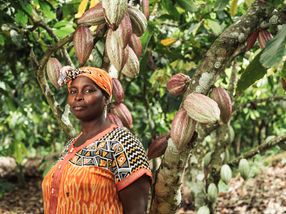 Gnankou Ferdine Koye, Kakaobäuerin in der Elfenbeinküste