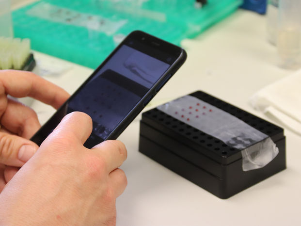 Researchers develop a test that uses a cell phone to simply and quickly detect gluten in food