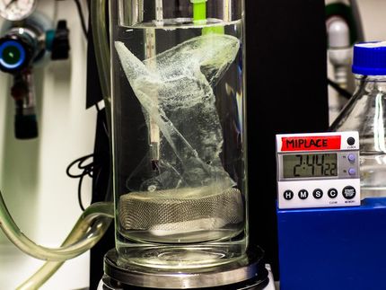 Une enzyme nouvellement découverte décompose le plastique PET en un temps record