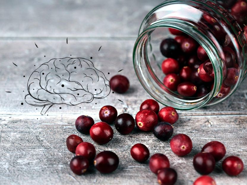 How cranberries could improve memory and ward off dementia - A new study published highlights the neuroprotective potential of cranberries