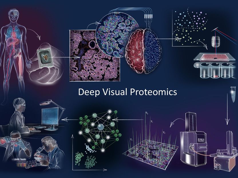 © MPI of Biochemistry 