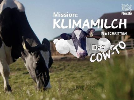 Mission Klimamilch: Mit Kuh Berta auf dem Weg zur Grünen Null