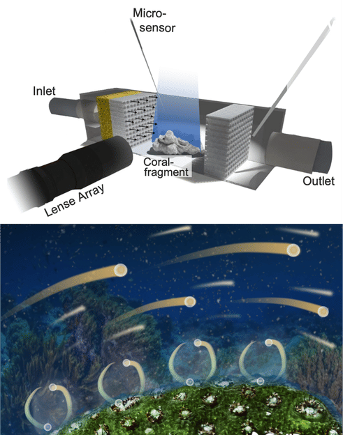 Microparticles with feeling - Researchers develop a new method to simultaneously measure flow and oxygen - Accurate and fast as never before