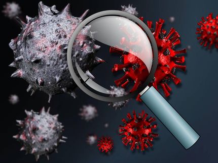 Corona vs. Affenpocken: Zwei ziemlich unterschiedliche Erreger