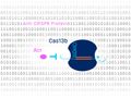 A precision cut for the CRISPR-Cas genetic scissors
