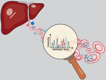 New method for early diagnosis of liver diseases by proteomics