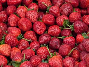 Kunden sparen auch bei Erdbeeren