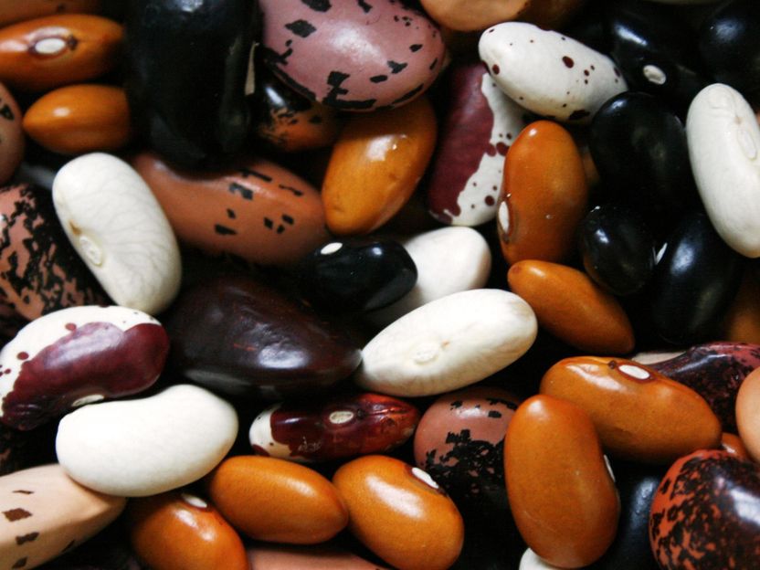 Vegan diet rich in legumes beneficial for decreased weight