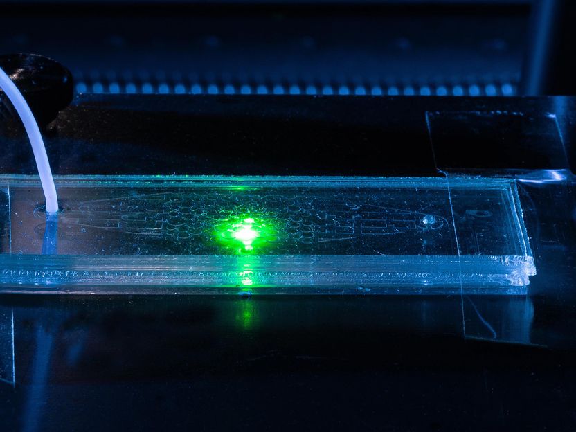 Poröse Medien transparent gemacht - Porous Media Lab der Universität Stuttgart ermöglicht skalenübergreifende Charakterisierung von gekoppelten Prozessen in porösen Materialien