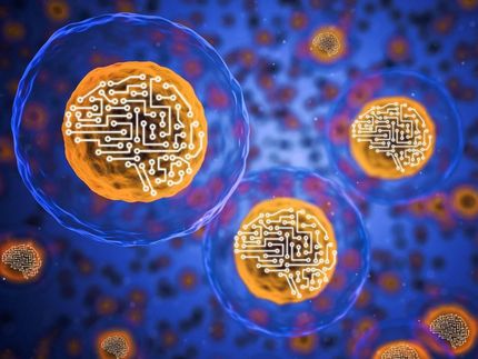 AI identifies cancer cells