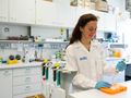 New “decision aid” for CRISPR immune responses