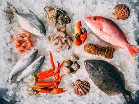 Erschwinglichkeit von Meeresfrüchten beeinflusst den Konsum nahrhafterer Arten