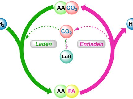 LIKAT-Forscher und APEX entwickeln eine Wasserstoff-Batterie