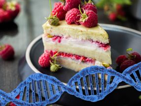 Do our genes determine what we eat?