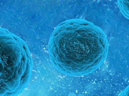 Nueva solución para la fabricación de células madre