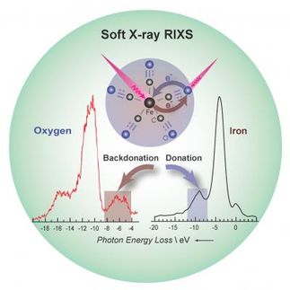 Soft X-ray RIXS