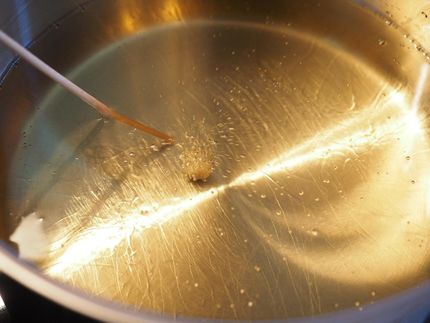 Trotz globaler Nahrungsmittelkrise: In Europa werden täglich 19 Millionen Flaschen Raps- und Sonnenblumenöl als Sprit verbrannt