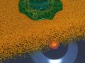 Mikroskopietechnik ermöglicht 3D-Bildgebung mit Superauflösung im Nanometermaßstab