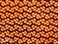 New class of excitons with hybrid dimensionality in layered silicon diphosphide