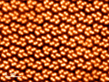 New class of excitons with hybrid dimensionality in layered silicon diphosphide