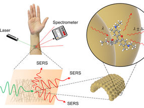Neuartiger tragbarer chemischer Sensor