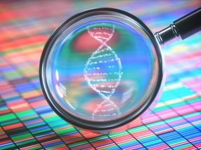 New genes with mutations for developmental disorders identified