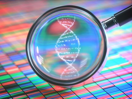 Identificados nuevos genes con mutaciones para trastornos del desarrollo