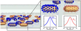 Chemists develop innovative nano-sensors for multiple proteins