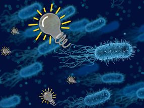 New biobatteries use bacterial interactions to generate power for weeks