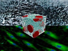 Une nouvelle méthode basée sur des matériaux intelligents visant à expérimenter avec les cellules