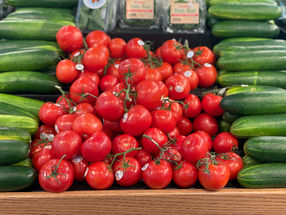 Wissenschaftler führen in diesem Sommer Freilandversuche durch, um eine gentechnisch veränderte Tomatensorte zu testen, die eine neue Vitamin-D-Quelle für die Ernährung darstellen könnte.