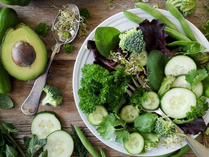 ProVeg unterstützt Transformationsstrategie des Bundesernährungsministeriums