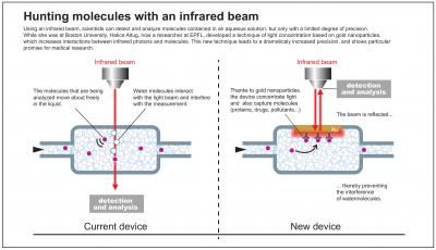 Hunting Molecules with an Infrared Beam