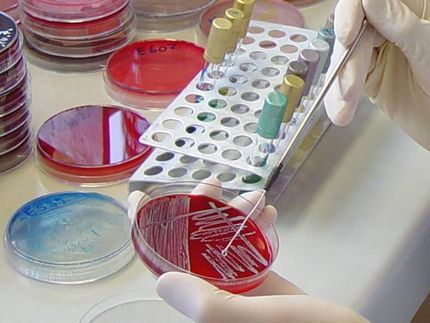 Erfolg bei Listerien-Ausbruchsermittlung