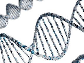 Comment trouver des gènes marqueurs dans des groupes de cellules ?