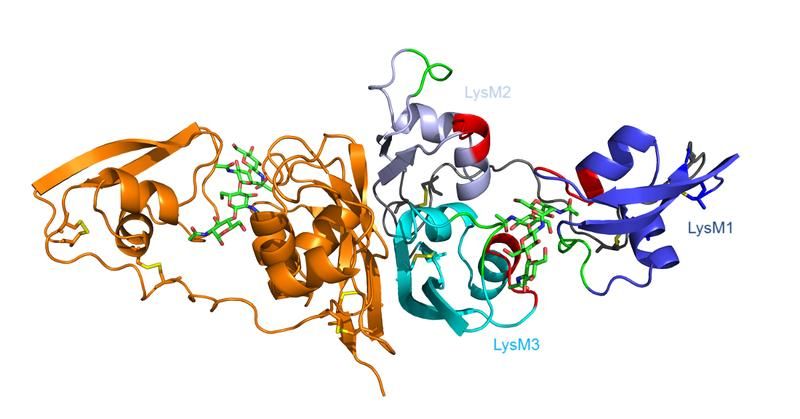 eLife 2013;2:e00790