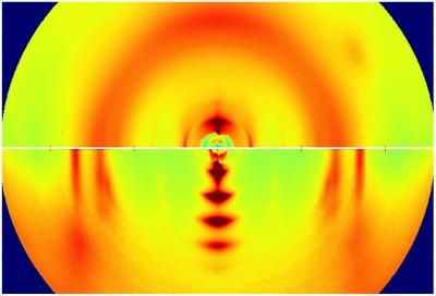 X-ray Images of Plastic Polymers