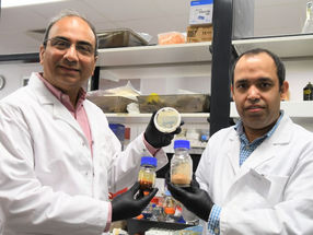 Medical Biotechnology scientist Associate Professor Munish Puri and Bioprocessing Lab researcher Dr Adarsha Gupta with locally sourced Australian microalgae in culture, and the powdered and processed material produced for biodiesel production.