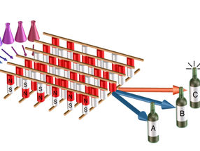 Durch die Analyse der verschiedenen Eigenschaften von Weinen, wie Säure, Fruchtigkeit und Bitterkeit (links als farbige Kolben dargestellt), konnte ein neuartiges KI-System (Mitte) erfolgreich feststellen, um welche Art von Wein es sich handelt (rechts). Das KI-System basiert auf magnetischen Bauteilen, die als "magnetische Tunnelverbindungen" bekannt sind, und wurde von Forschern des NIST, der University of Maryland und Western Digital entwickelt und gebaut.