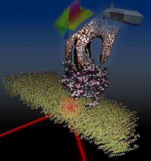 Protein Interactions at the Membrane